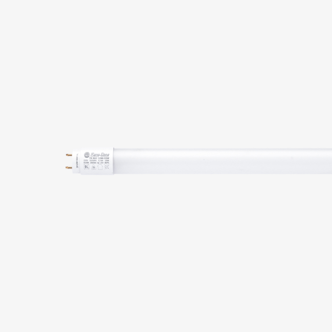 Ảnh Bóng LED Tube T8 N02 600/10W Rạng Đông 1