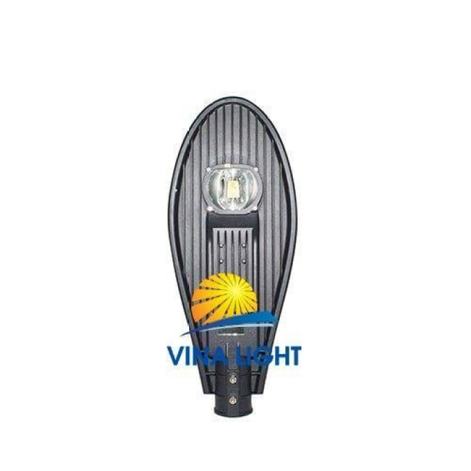 Ảnh Đèn đường LED 40W D CSD02L/40W Rạng Đông 1