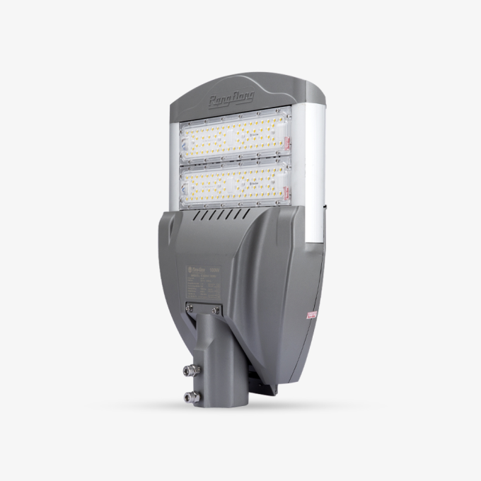 Ảnh Đèn đường LED chiếu sáng D CSD04L 100W Rạng Đông 1