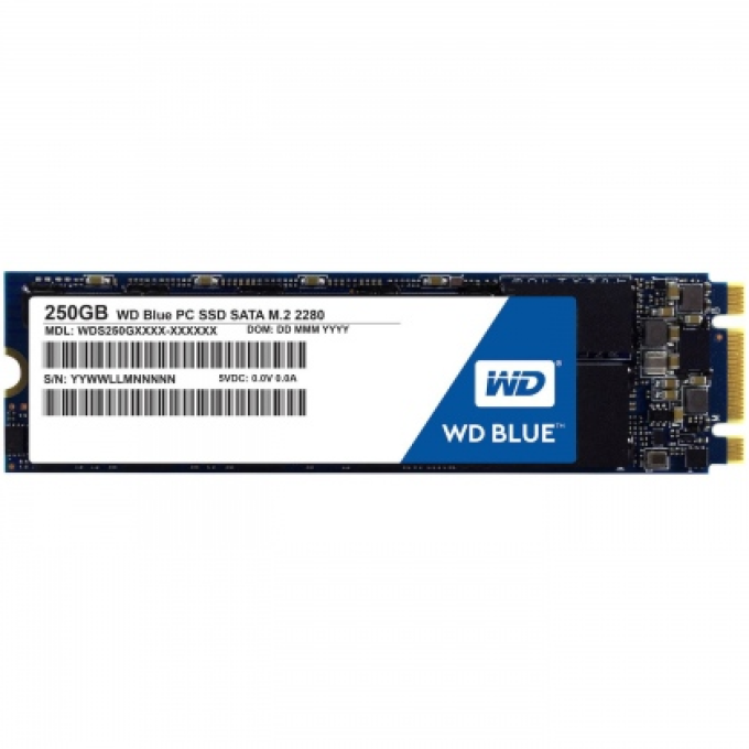 Ảnh Ổ cứng SSD M2-SATA 250GB Western Digital WD Blue 2280 1