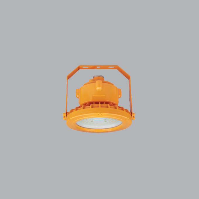 Ảnh Đèn LED Chống Nổ Dạng Tròn LEPR-60W 1