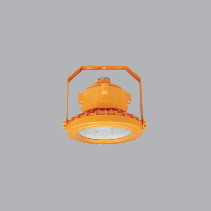 Ảnh Đèn LED Chống Nổ Dạng Tròn LEPR-100W 1