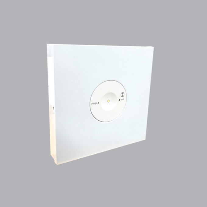 Ảnh Led Downlight  âm trần Emergency EM-NT 1